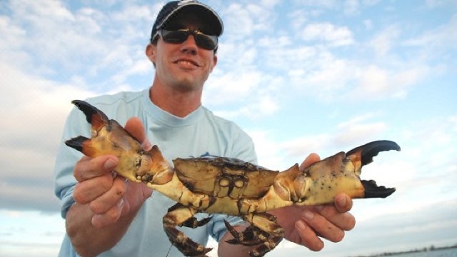 黄金海岸抓螃蟹一日游Golden Coast Fishing and Crabs Day Tour (Code: 016) | 金程旅游